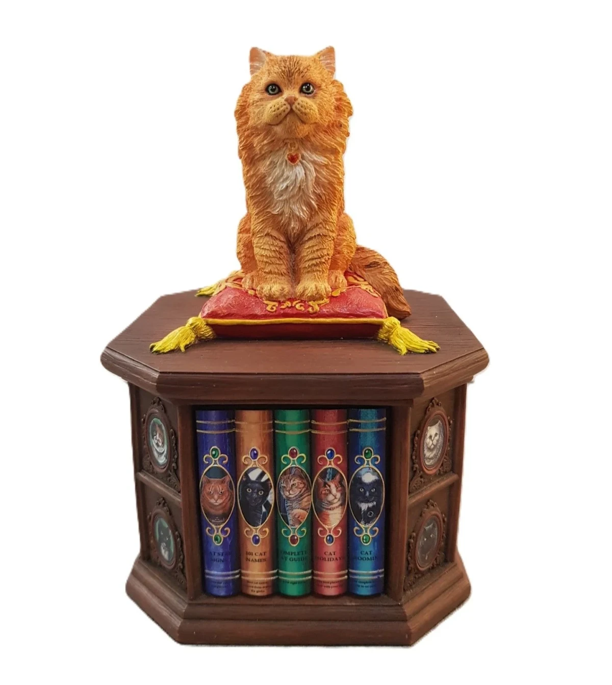 Bilgin Kedi Biblo/Kutu