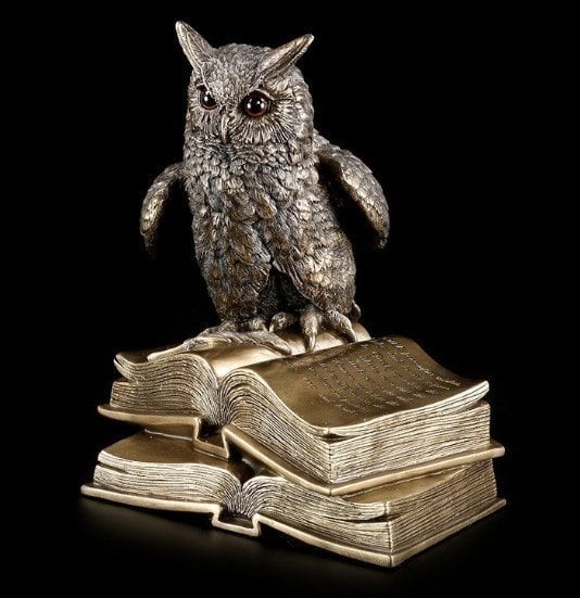 Kitap Üstünde Bronz Baykuş