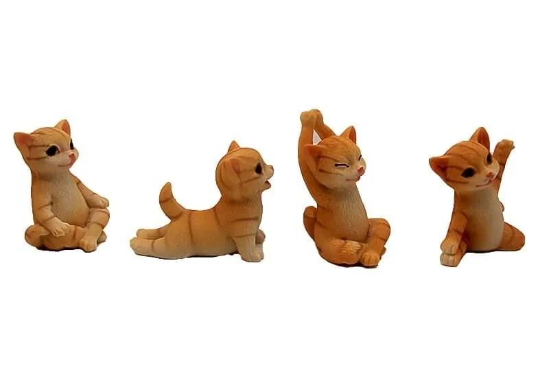 Yoga Yapan Kedi Biblolar 4'lü Set