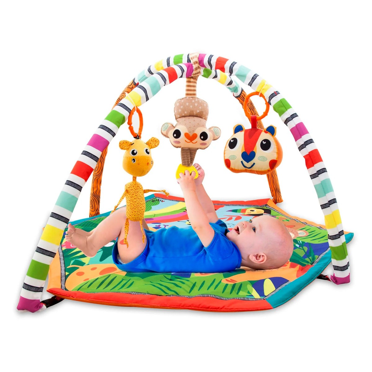 Molie Orman Macerası Aktivite Merkezi Ve Oyun Halısı