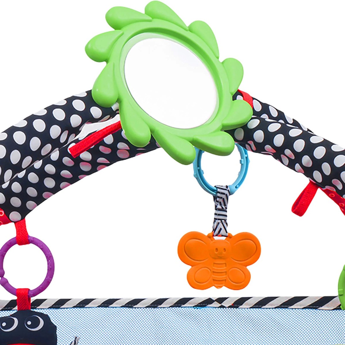 Molie Top Havuzu ve Aktivite Merkezi