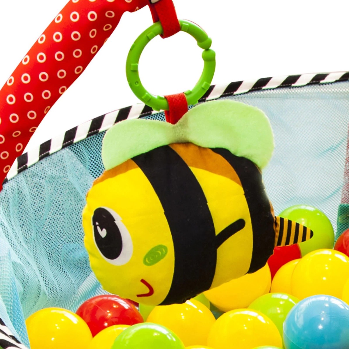 Molie Top Havuzu ve Aktivite Merkezi