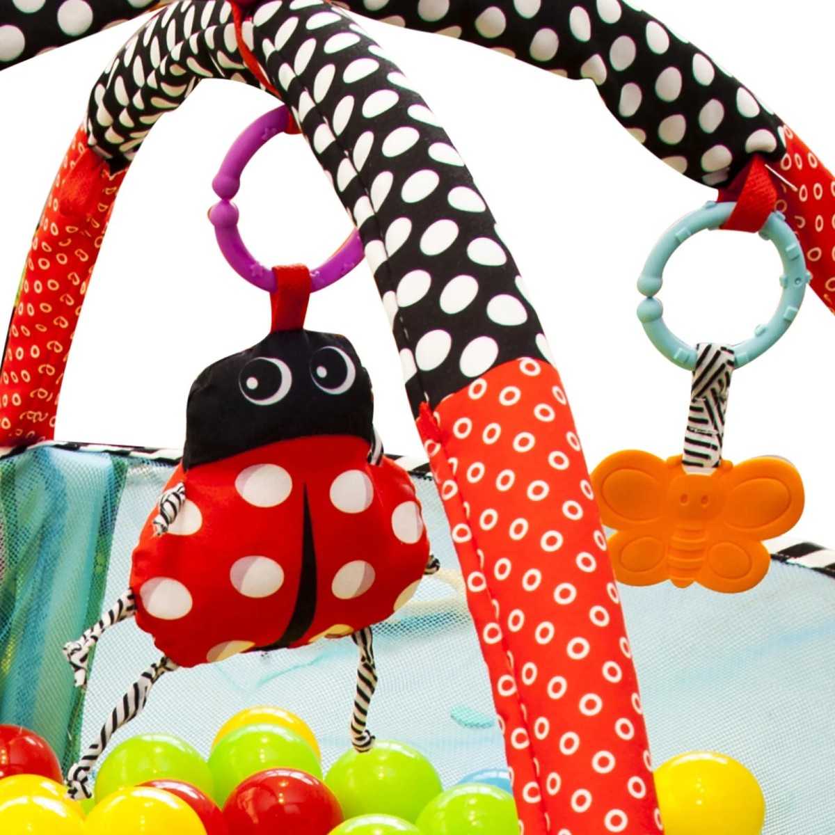 Molie Top Havuzu ve Aktivite Merkezi